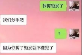 娄底要账公司更多成功案例详情